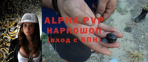 mdpv Богородск