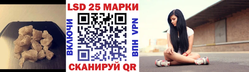 дарнет шоп  Зубцов  Лсд 25 экстази кислота 