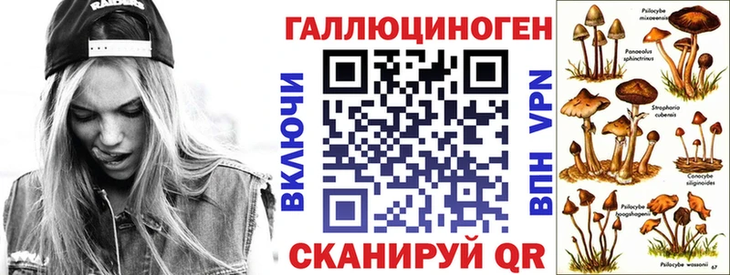 дарнет шоп  Зубцов  Галлюциногенные грибы Cubensis 